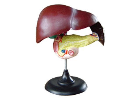 SD-093 33216Ρʮ֬cKģ