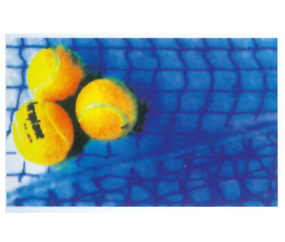 Y-1054 網(wǎng)球、網(wǎng)